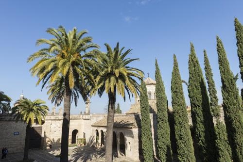 Mauerborg Alcazar i Jerez