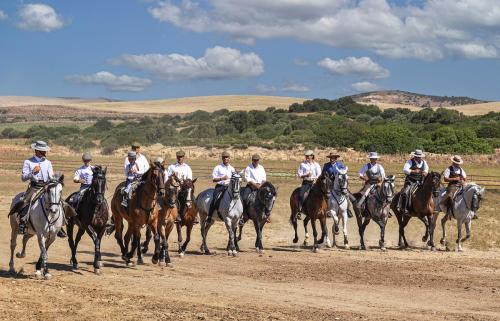 Hestekultur i Andalusien