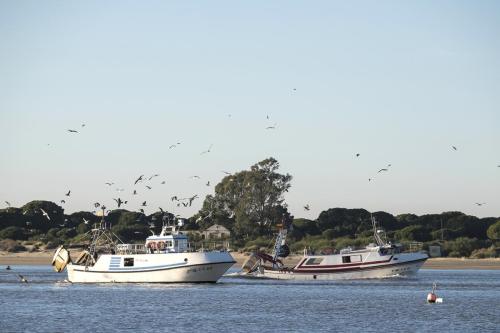 Fiskerbåde ved Sanlucar